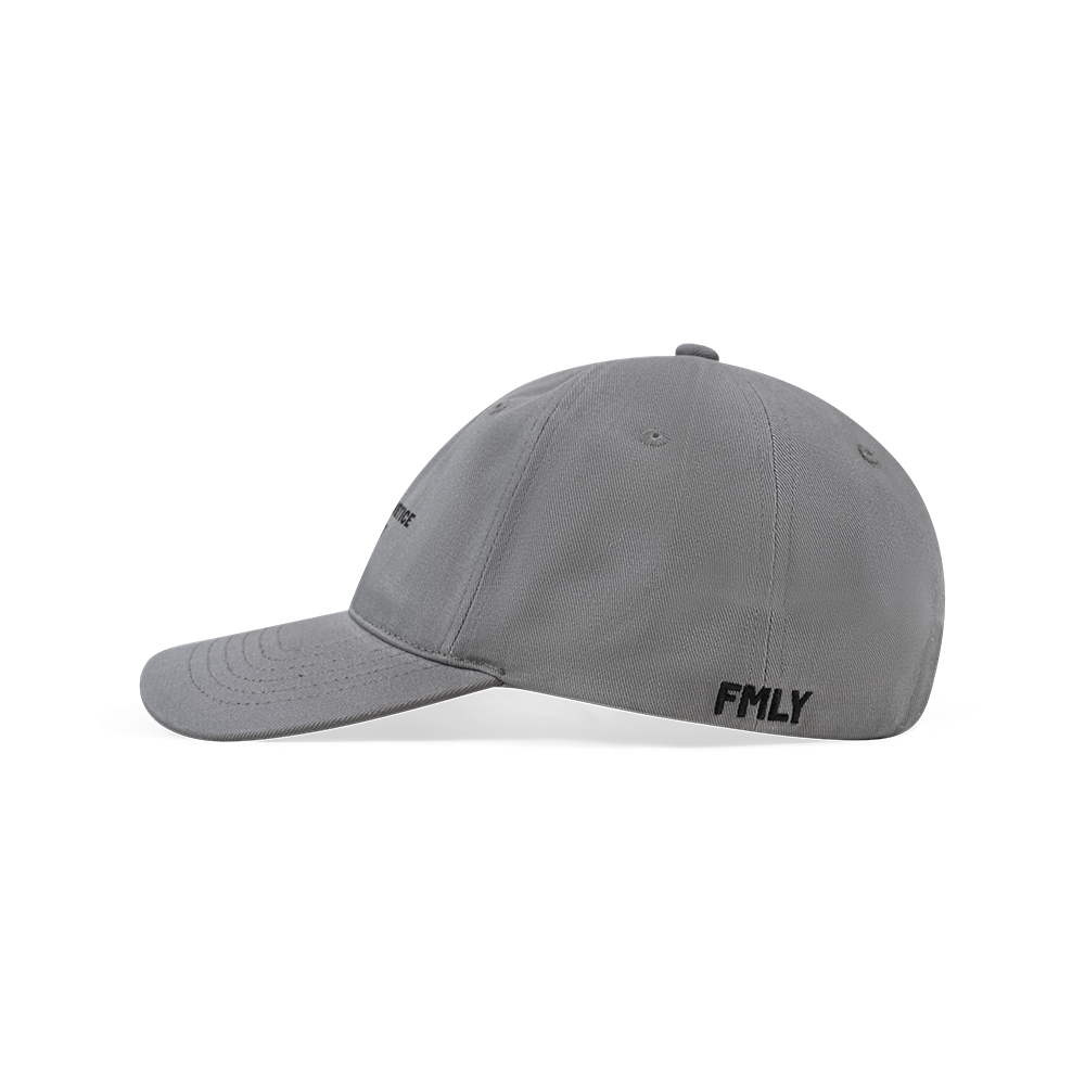 FMLY CAP GRAY