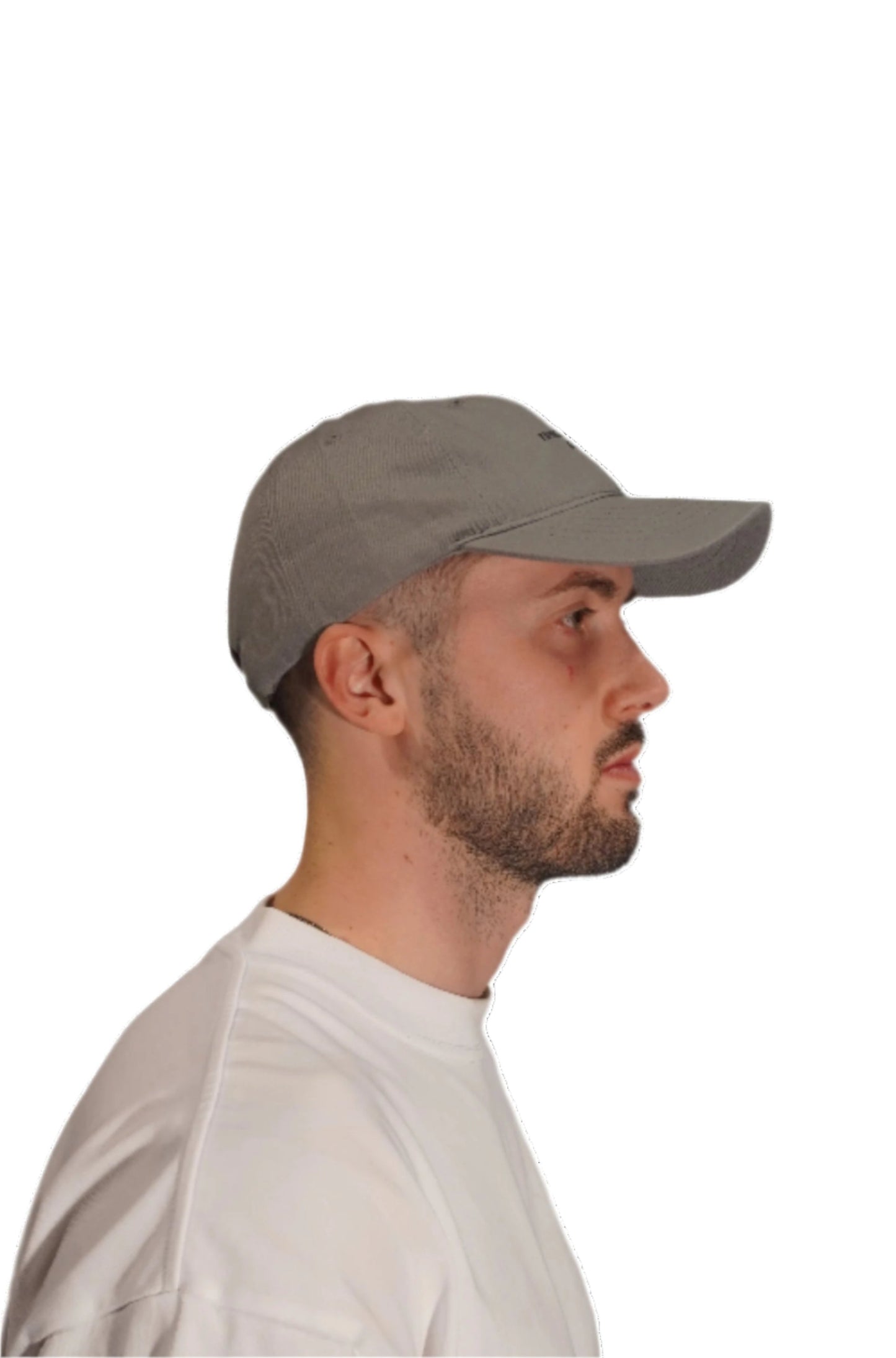 FMLY CAP GRAY